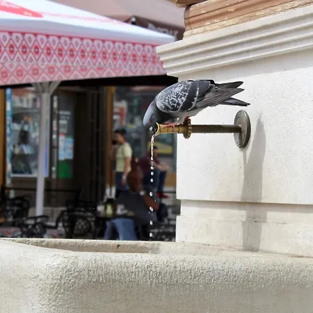 Appartamento 11 - Great Location, Quiet But Near The Center